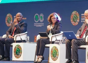 Experts Call for Boost in Private-Sector Investment for Africa’s Tertiary Education