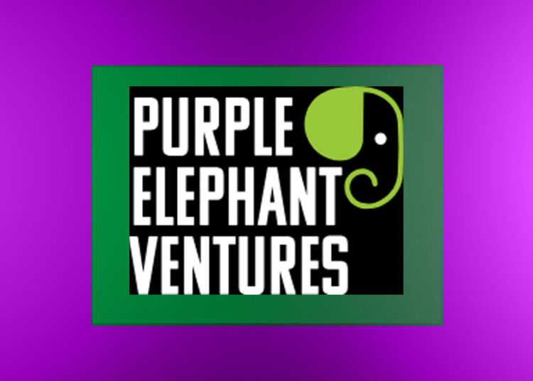 $4.5M Investment in Purple Elephant Ventures Sparks Sustainable Tourism Growth in Africa