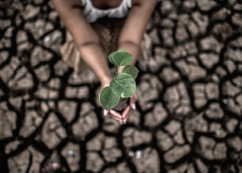 Kagumo High School Student Leads 2,500 Youth in Climate Action Festival