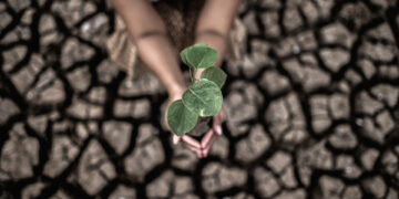 Kagumo High School Student Leads 2,500 Youth in Climate Action Festival