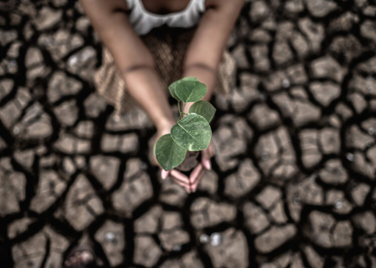 Kagumo High School Student Leads 2,500 Youth in Climate Action Festival